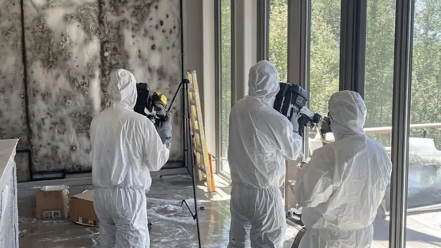 Team in protective suits documenting mold on a wall